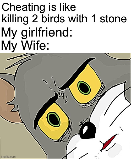 The human life is different | Cheating is like killing 2 birds with 1 stone; My girlfriend:
My Wife: | image tagged in memes,unsettled tom,funny,funny memes,coronavirus,gifs | made w/ Imgflip meme maker