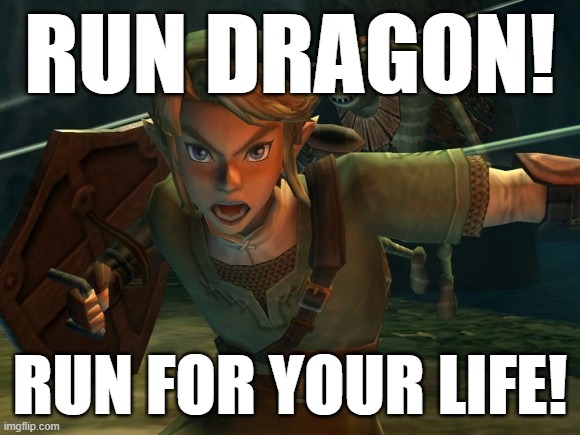 Link Legend of Zelda Yelling | RUN DRAGON! RUN FOR YOUR LIFE! | image tagged in link legend of zelda yelling | made w/ Imgflip meme maker