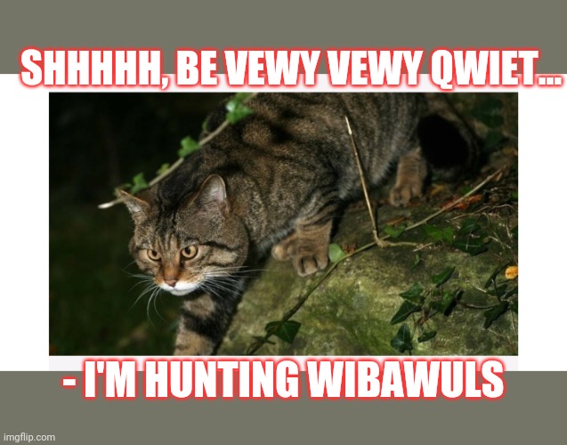 Wildcat eats Libtards | SHHHHH, BE VEWY VEWY QWIET... - I'M HUNTING WIBAWULS | image tagged in good,kitty | made w/ Imgflip meme maker