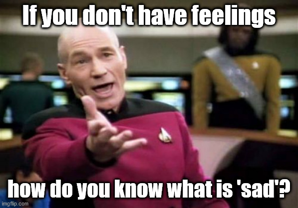 Picard Wtf Meme | If you don't have feelings how do you know what is 'sad'? | image tagged in memes,picard wtf | made w/ Imgflip meme maker