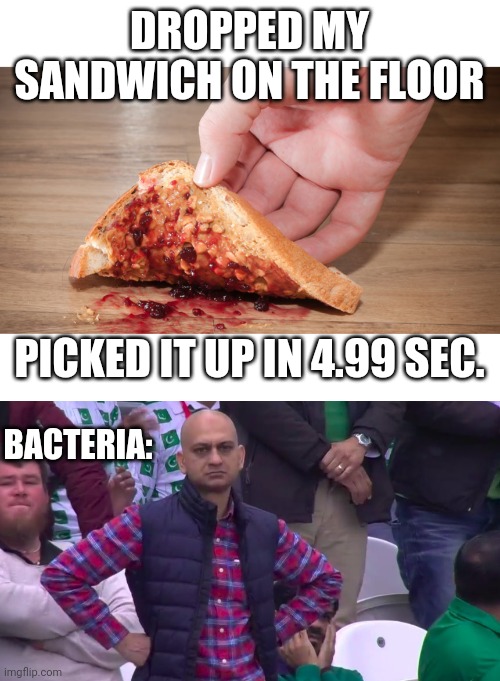 TAKE THAT 5 SECOND RULE | DROPPED MY SANDWICH ON THE FLOOR; BACTERIA:; PICKED IT UP IN 4.99 SEC. | image tagged in disappointed muhammad sarim akhtar,memes,food,5 second rule | made w/ Imgflip meme maker
