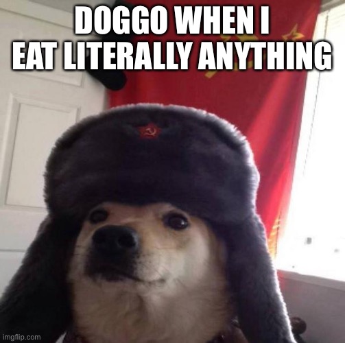 Russian Doge | DOGGO WHEN I EAT LITERALLY ANYTHING | image tagged in russian doge | made w/ Imgflip meme maker