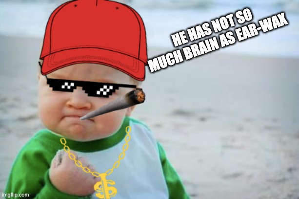 baby got a little angry | HE HAS NOT SO MUCH BRAIN AS EAR-WAX | image tagged in angry baby | made w/ Imgflip meme maker