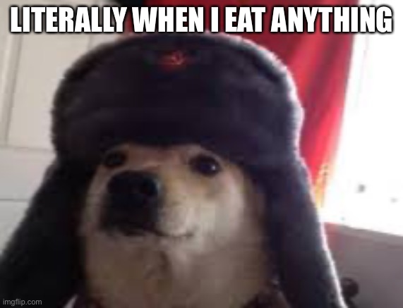 Russian doggo | LITERALLY WHEN I EAT ANYTHING | image tagged in communism,meme | made w/ Imgflip meme maker