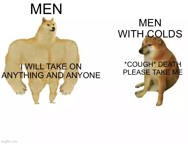 Man cold | MEN; MEN WITH COLDS; I WILL TAKE ON ANYTHING AND ANYONE; *COUGH* DEATH PLEASE TAKE ME | image tagged in buff doge vs cheems | made w/ Imgflip meme maker
