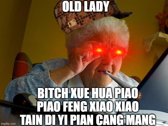 old lady | OLD LADY; BITCH XUE HUA PIAO PIAO FENG XIAO XIAO TAIN DI YI PIAN CANG MANG | image tagged in memes,grandma finds the internet | made w/ Imgflip meme maker