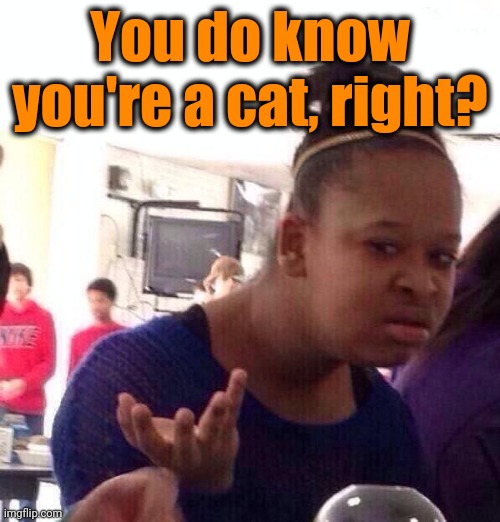 Black Girl Wat Meme | You do know you're a cat, right? | image tagged in memes,black girl wat | made w/ Imgflip meme maker