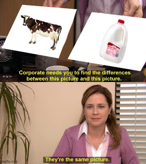 Milk | image tagged in they are the same picture | made w/ Imgflip meme maker