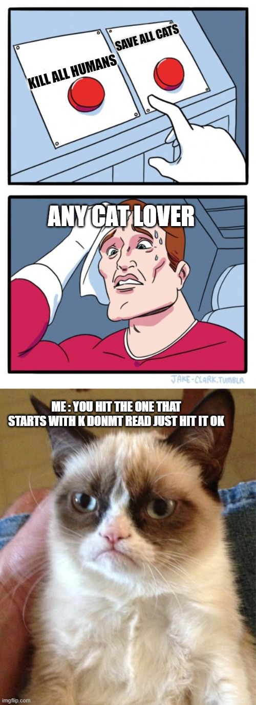 SAVE ALL CATS; KILL ALL HUMANS; ANY CAT LOVER; ME : YOU HIT THE ONE THAT STARTS WITH K DONMT READ JUST HIT IT OK | image tagged in memes,grumpy cat,two buttons | made w/ Imgflip meme maker