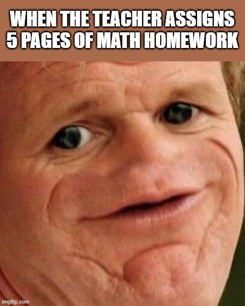 SOSIG | WHEN THE TEACHER ASSIGNS 5 PAGES OF MATH HOMEWORK | image tagged in sosig,memes,homework,math | made w/ Imgflip meme maker