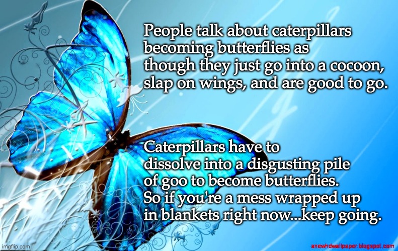 blue butterfly | People talk about caterpillars becoming butterflies as though they just go into a cocoon, slap on wings, and are good to go. Caterpillars have to dissolve into a disgusting pile of goo to become butterflies.
So if you're a mess wrapped up in blankets right now...keep going. | image tagged in blue butterfly,caterpillars,keep going | made w/ Imgflip meme maker