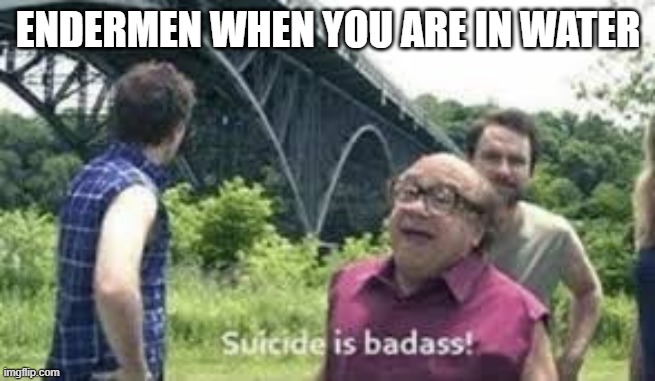 suicide is badass | ENDERMEN WHEN YOU ARE IN WATER | image tagged in suicide is badass | made w/ Imgflip meme maker