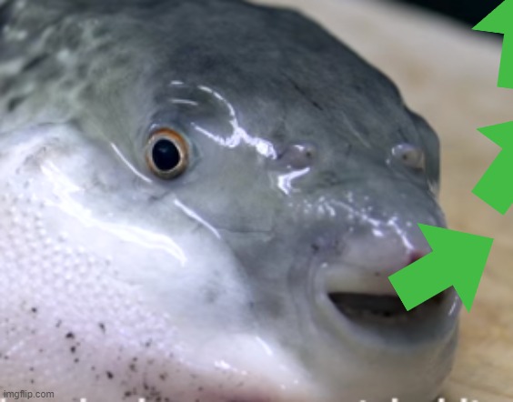 happy pufferfish | image tagged in happy pufferfish | made w/ Imgflip meme maker