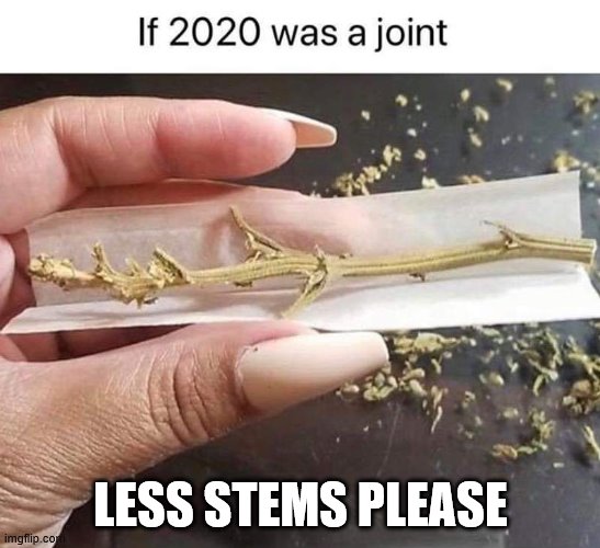 It is skunk weed | LESS STEMS PLEASE | image tagged in smoking weed,2020 | made w/ Imgflip meme maker