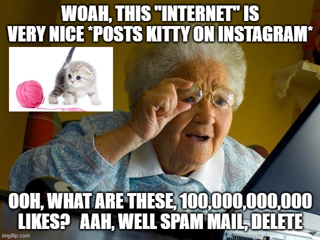 Grandma Finds The Internet Meme | WOAH, THIS "INTERNET" IS VERY NICE *POSTS KITTY ON INSTAGRAM*; OOH, WHAT ARE THESE, 100,000,000,000 LIKES?   AAH, WELL SPAM MAIL, DELETE | image tagged in memes,grandma finds the internet | made w/ Imgflip meme maker