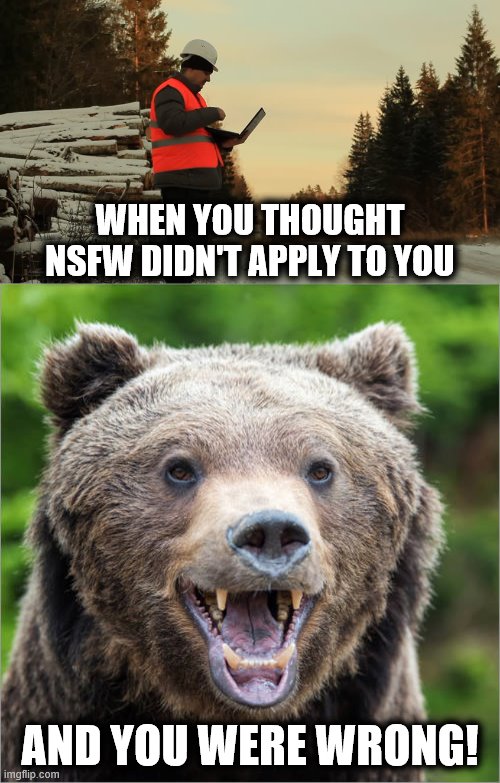 Got to be more careful...  (Inspired by Manhattan) | WHEN YOU THOUGHT NSFW DIDN'T APPLY TO YOU; AND YOU WERE WRONG! | image tagged in memes,nsfw,lumberjack with computer,bear | made w/ Imgflip meme maker