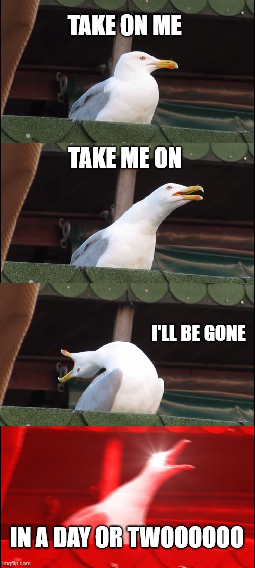 Take On Me (I know, not miraculous themed) | TAKE ON ME; TAKE ME ON; I'LL BE GONE; IN A DAY OR TWOOOOOO | image tagged in memes,inhaling seagull,songs | made w/ Imgflip meme maker