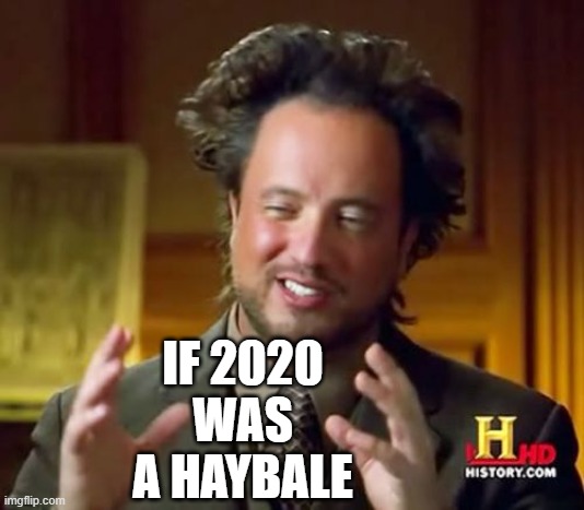 Ancient Aliens Meme | IF 2020 WAS A HAYBALE | image tagged in memes,ancient aliens | made w/ Imgflip meme maker