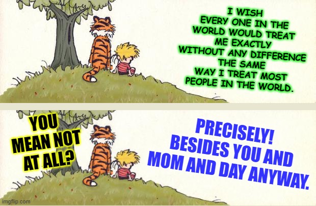 Calvin & Hobbes | I WISH EVERY ONE IN THE WORLD WOULD TREAT ME EXACTLY WITHOUT ANY DIFFERENCE THE SAME WAY I TREAT MOST PEOPLE IN THE WORLD. YOU MEAN NOT AT ALL? PRECISELY! BESIDES YOU AND MOM AND DAY ANYWAY. | image tagged in calvin  hobbes | made w/ Imgflip meme maker