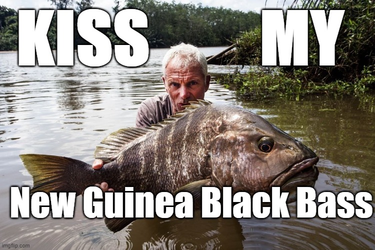 Big Black Bass Kissing | KISS         MY; New Guinea Black Bass | image tagged in puns,humor,fishing,jeremy wade,black bass,papua new guinea | made w/ Imgflip meme maker