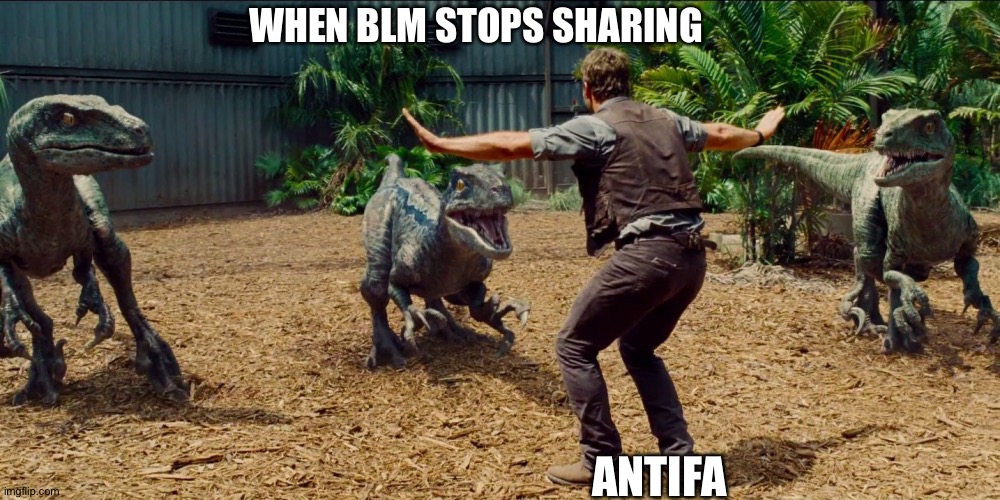 Jurassic park raptor | WHEN BLM STOPS SHARING; ANTIFA | image tagged in jurassic park raptor | made w/ Imgflip meme maker