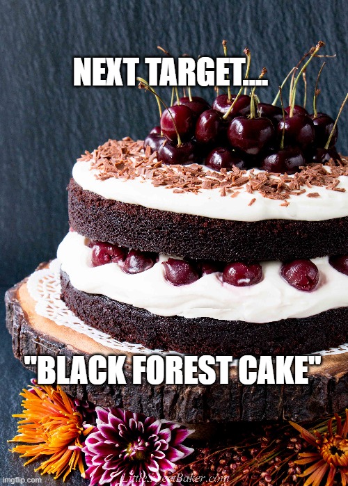 Next target... "Black Forest Cake" | NEXT TARGET.... "BLACK FOREST CAKE" | image tagged in memes | made w/ Imgflip meme maker