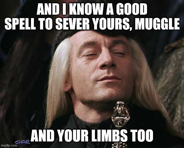 Lucius Malfoy | AND I KNOW A GOOD SPELL TO SEVER YOURS, MUGGLE AND YOUR LIMBS TOO | image tagged in lucius malfoy | made w/ Imgflip meme maker