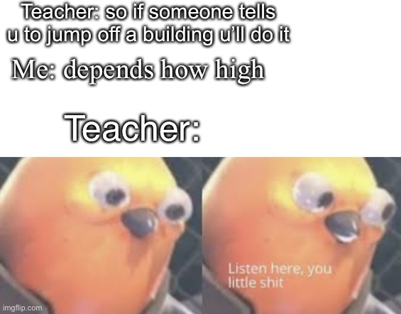 Listen here you little shit bird | Teacher: so if someone tells u to jump off a building u’ll do it; Me: depends how high; Teacher: | image tagged in listen here you little shit bird,memes,imgflip humor,imgflip community,funny meme,roasted | made w/ Imgflip meme maker