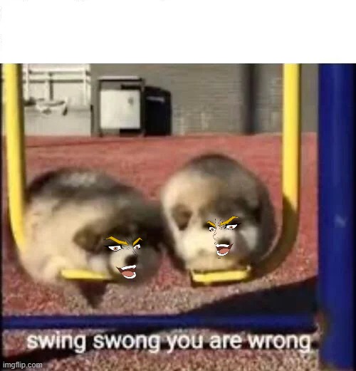 SWING SWONG YOU ARE WRONG | image tagged in swing swong you are wrong | made w/ Imgflip meme maker