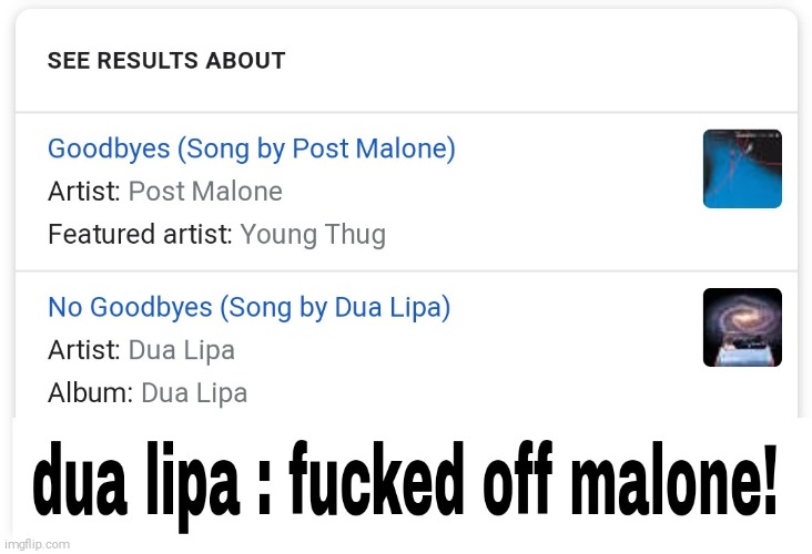 Dua lipa no goodbye | image tagged in memes,funny,fun | made w/ Imgflip meme maker