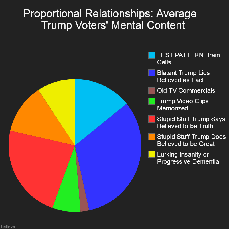 Proportional Relationships: Average   Trump Voters' Mental Content | Lurking Insanity or Progressive Dementia, Stupid Stuff Trump Does Belie | image tagged in charts,pie charts | made w/ Imgflip chart maker