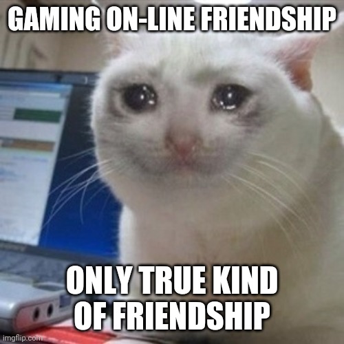 When someone takes hours to explain you noob the rules. | GAMING ON-LINE FRIENDSHIP; ONLY TRUE KIND OF FRIENDSHIP | image tagged in crying cat | made w/ Imgflip meme maker