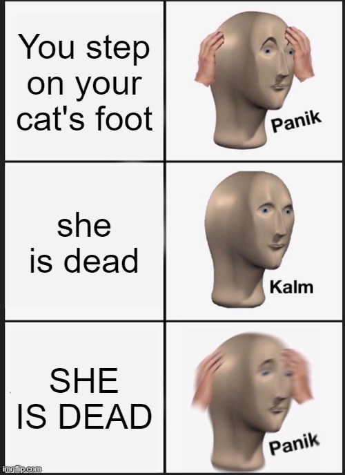 Panik Kalm Panik | You step on your cat's foot; she is dead; SHE IS DEAD | image tagged in memes,panik kalm panik | made w/ Imgflip meme maker