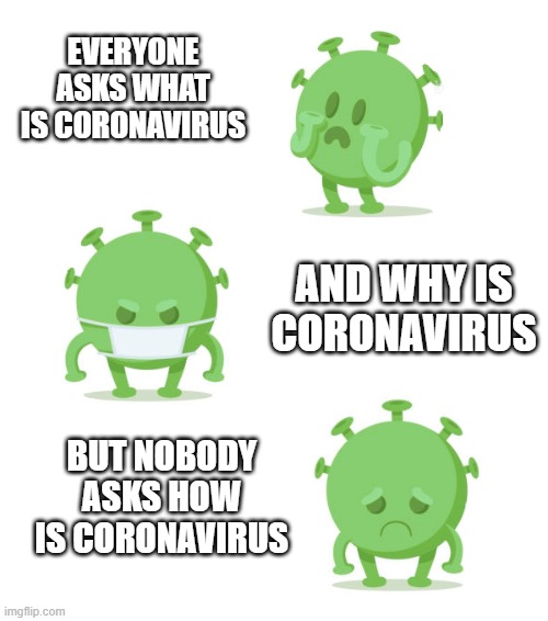 Sad Coronavirus | EVERYONE ASKS WHAT IS CORONAVIRUS; AND WHY IS CORONAVIRUS; BUT NOBODY ASKS HOW IS CORONAVIRUS | image tagged in coronavirus,nobody asks,sad | made w/ Imgflip meme maker