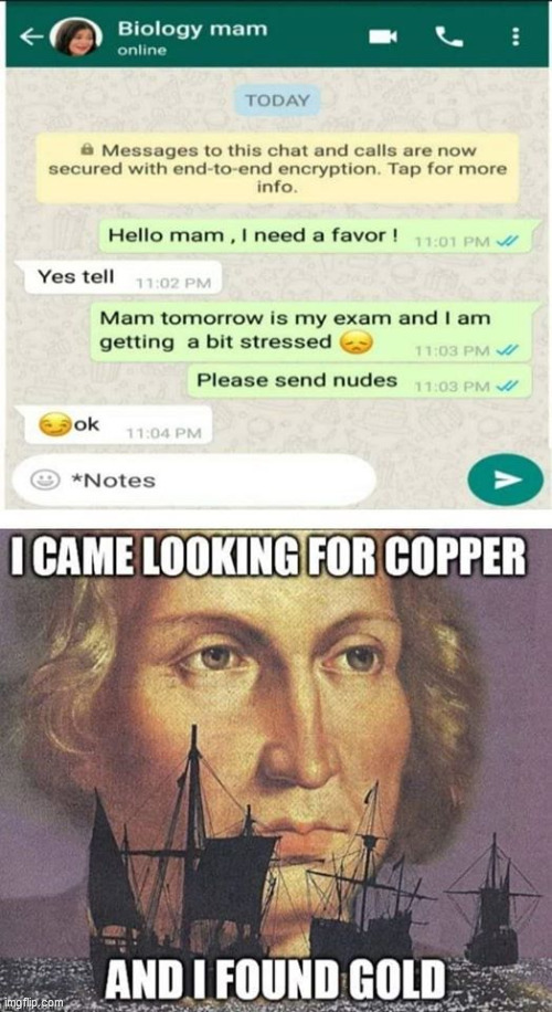 Found Plenty of gold | image tagged in funny,memes,message,i came looking for copper and i found gold,christopher columbus,yeah boi | made w/ Imgflip meme maker