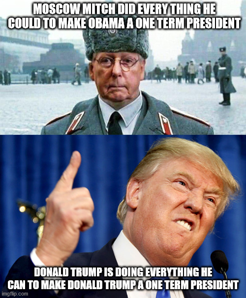 MOSCOW MITCH DID EVERY THING HE COULD TO MAKE OBAMA A ONE TERM PRESIDENT; DONALD TRUMP IS DOING EVERYTHING HE CAN TO MAKE DONALD TRUMP A ONE TERM PRESIDENT | image tagged in donald trump,moscow mitch,one term president | made w/ Imgflip meme maker