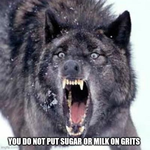 Triggered Southerner | YOU DO NOT PUT SUGAR OR MILK ON GRITS | image tagged in angry wolf,triggered southerner,love me some grits,no milk or sugar,silly yankees,grits an eggs | made w/ Imgflip meme maker