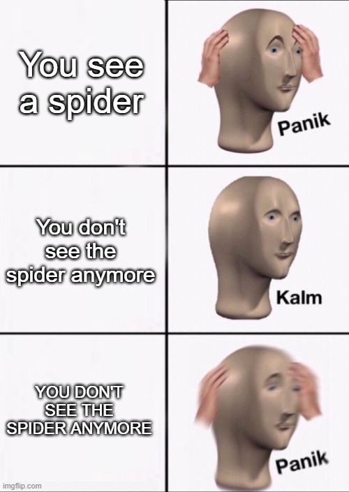 Stonks Panic Calm Panic | You see a spider; You don't see the spider anymore; YOU DON'T SEE THE SPIDER ANYMORE | image tagged in stonks panic calm panic | made w/ Imgflip meme maker