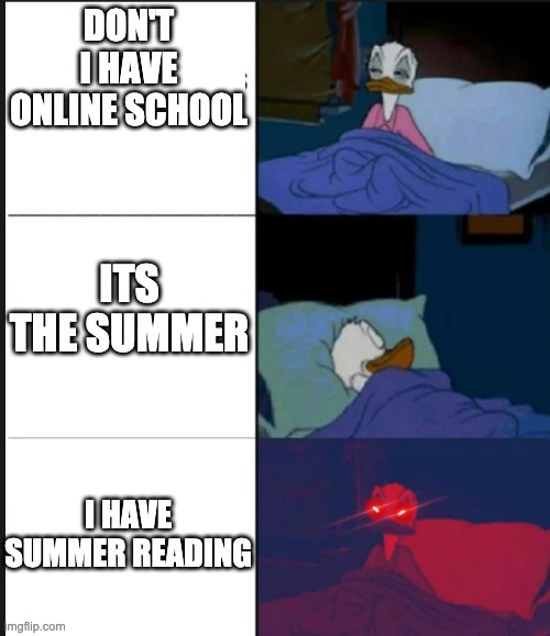 Donald awake! |  DON'T I HAVE ONLINE SCHOOL; ITS THE SUMMER; I HAVE SUMMER READING | image tagged in donald duck awake | made w/ Imgflip meme maker