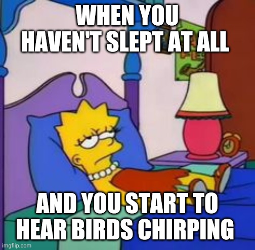 WHEN YOU HAVEN'T SLEPT AT ALL; AND YOU START TO HEAR BIRDS CHIRPING | image tagged in 2meirl4meirl | made w/ Imgflip meme maker