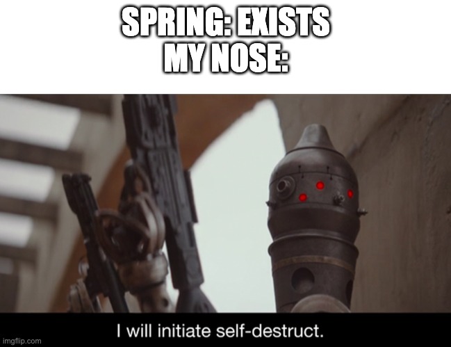 life is hard when you have an allergy | SPRING: EXISTS
MY NOSE: | image tagged in blank white template,i will initiate self-destruct,allergies | made w/ Imgflip meme maker