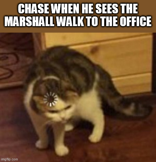 Credit to the only person you care about | CHASE WHEN HE SEES THE MARSHALL WALK TO THE OFFICE | image tagged in loading cat,memes,funny,roleplaying,oc | made w/ Imgflip meme maker