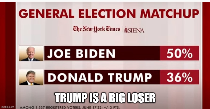 Americans Are SICK of Trump! | TRUMP IS A BIG LOSER | image tagged in trump is a big loser,2020,biden 2020,impeached | made w/ Imgflip meme maker