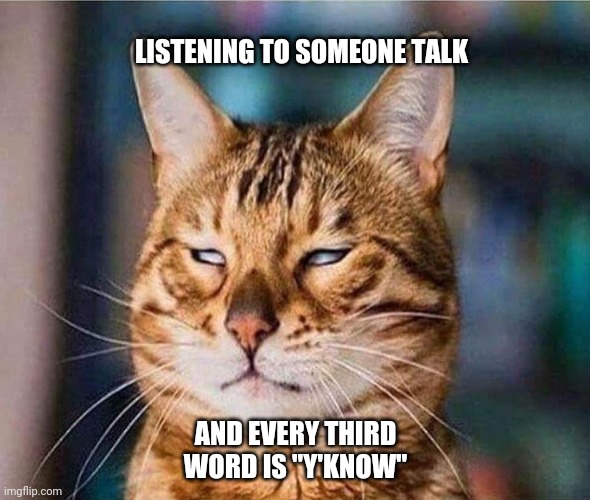 that face you make eyeroll cat | LISTENING TO SOMEONE TALK; AND EVERY THIRD WORD IS "Y'KNOW" | image tagged in that face you make eyeroll cat,memes | made w/ Imgflip meme maker