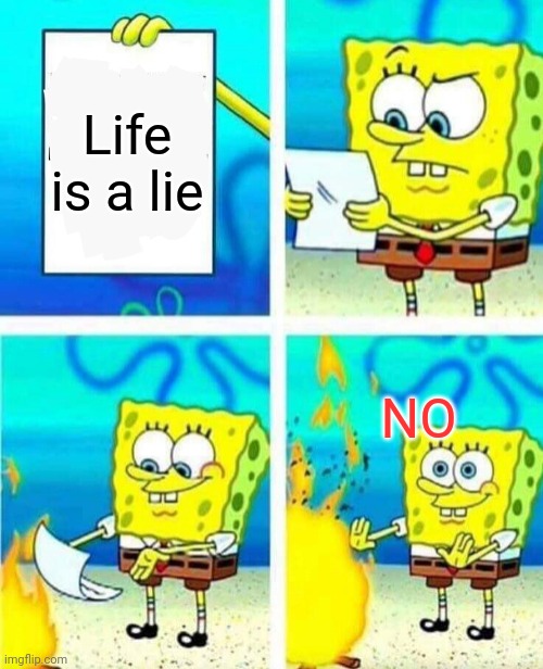Sponge bob | Life is a lie; NO | image tagged in no | made w/ Imgflip meme maker