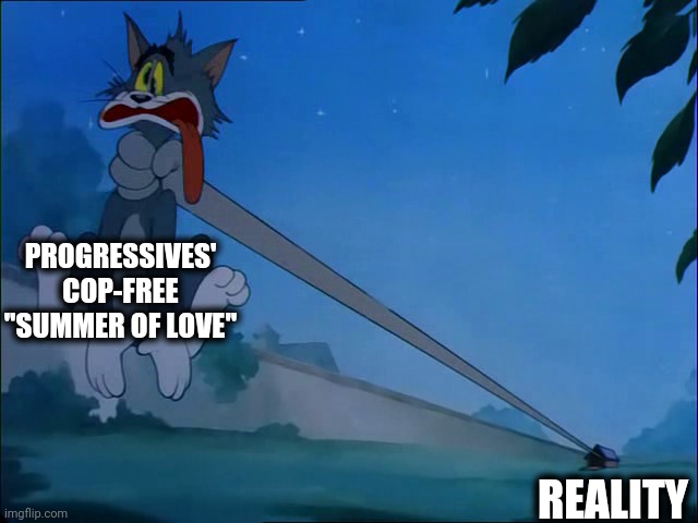 Only the progressives didn't understand how this would turn out! | PROGRESSIVES' COP-FREE "SUMMER OF LOVE"; REALITY | image tagged in tom and spike,memes,capitol hill,autonomous zone,organized protest,stupid liberals | made w/ Imgflip meme maker