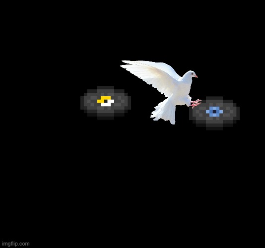the pigeon attacks and flies wait disc | image tagged in black screen,minecraft | made w/ Imgflip meme maker