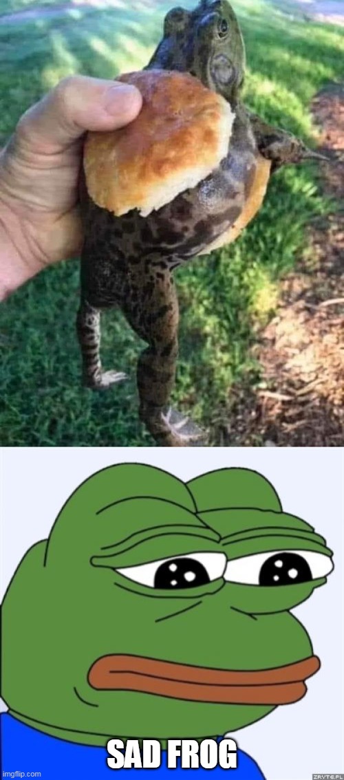 sad | SAD FROG | image tagged in sad frog | made w/ Imgflip meme maker