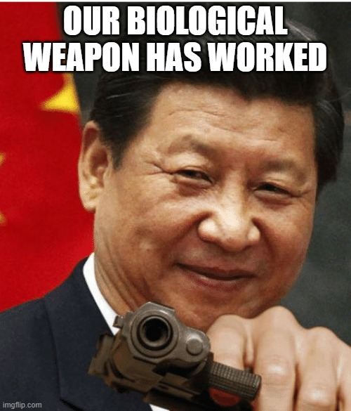 Xi Jinping | OUR BIOLOGICAL WEAPON HAS WORKED | image tagged in xi jinping | made w/ Imgflip meme maker