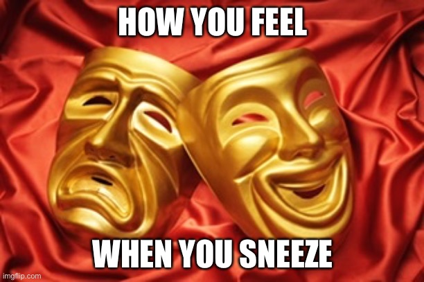 Sneezing | HOW YOU FEEL; WHEN YOU SNEEZE | image tagged in memes,sneeze,happy,sad,funny,sad and happy masks | made w/ Imgflip meme maker